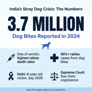 India's Stray Dog Crisis: The Scale of the Problem