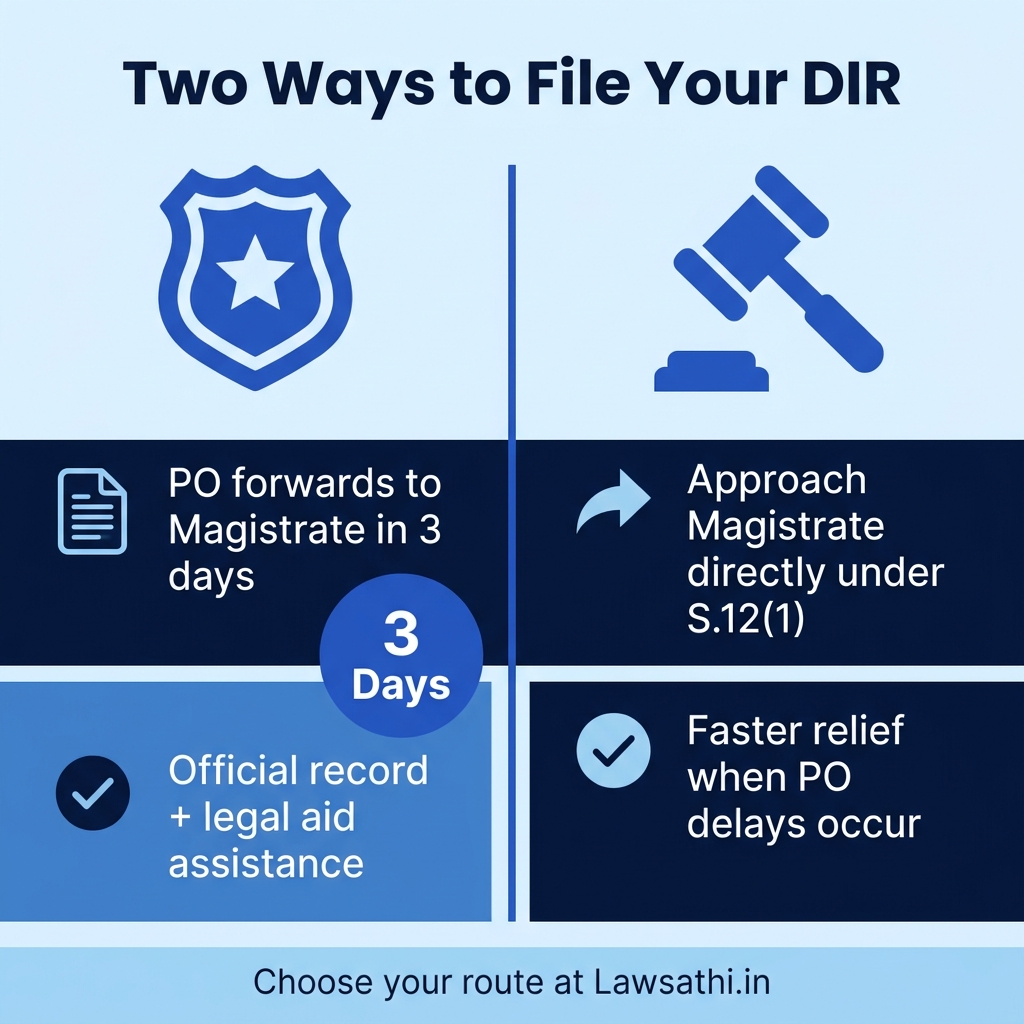 Two Filing Pathways: Protection Officer vs Direct Filing