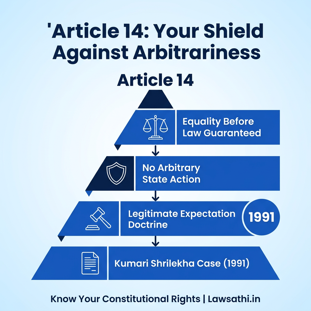 Legal Framework: Article 14 and the Doctrine of Arbitrariness